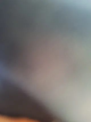 Camara wifi para mascotas nueva