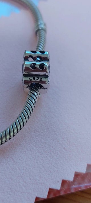 Charm Encantadora Huella Perro Plata S925 Azul