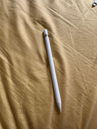 iPad Pro 12.9 1ª Gen 256GB + Apple Pencil