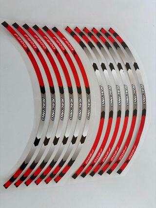 Pegatinas Ruedas Moto BMW F900R