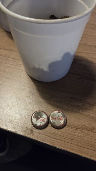 2 Chapas Coca-Cola Antiguas