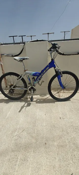 Bicicleta Coluer Type