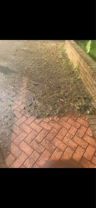 Servicios de limpieza y mantenimiento de jardin