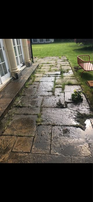 Servicios de limpieza y mantenimiento de jardin