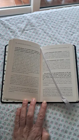 El pequeño libro de la constancia