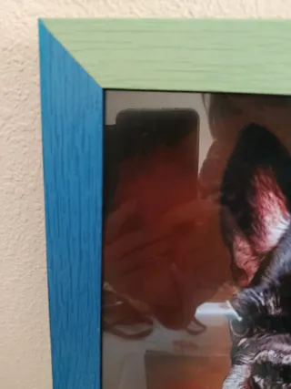 Cuadro Perro Comandante