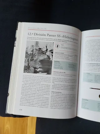 Divisiones Waffen-SS 1939-1945