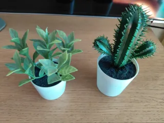 2 macetas blancas de plástico
