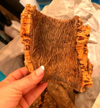 Troncos, corchos y arena para reptiles