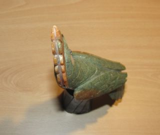 Pájaro ave Brasil piedra mineral natural grande