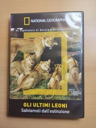Gli ultimi leoni - DVD National Geographic