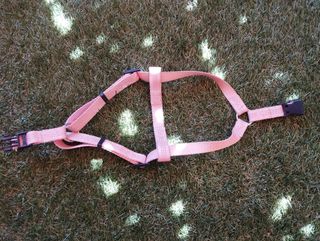 Pettorina per cani piccola - Rosa