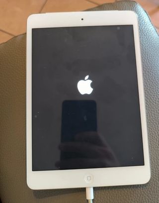 Ipad mini prima generazione 16gb wifi+Cellular