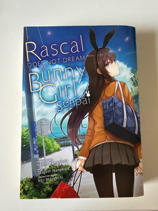 Rascal Does Not Dream of Bunny Girl Senpai 01