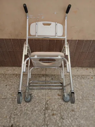 Silla baño y carrito adultos
