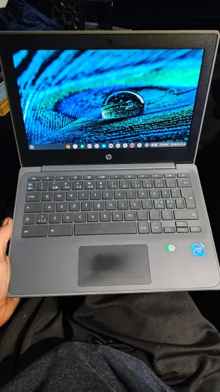 HP Chromebook 11 G8 Portatile