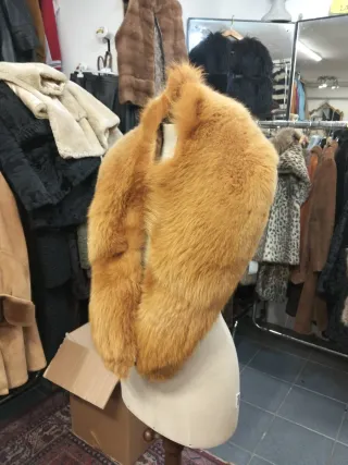 Collo di Volpe Arancio