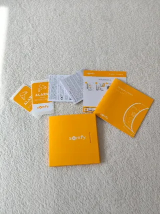 Cámara de vigilancia Interior Somfy Nueva