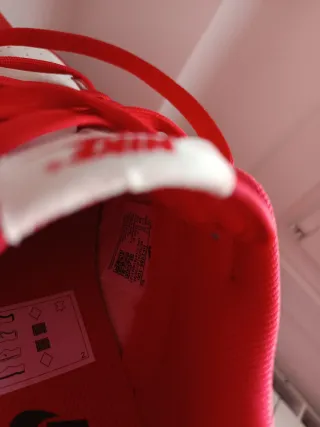 Nike Dunk Low Beige/Rojo Red Roses