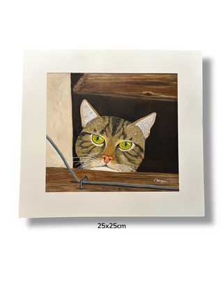 Quadro Gatto Acrilico Cartoncino 25x25