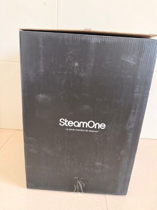 Plancha Vertical Steamone EUH2020W