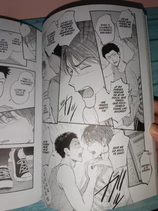 "Cómo conocí a mi marido". Manga BL.