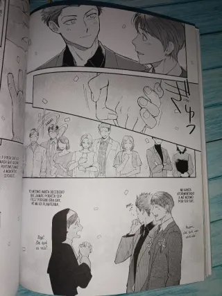 "Cómo conocí a mi marido". Manga BL.