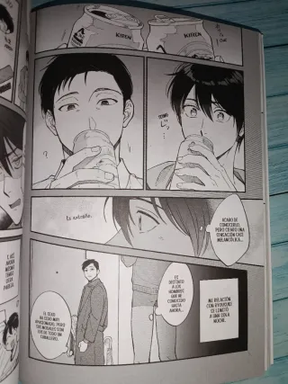 "Cómo conocí a mi marido". Manga BL.