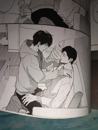 "Cómo conocí a mi marido". Manga BL.