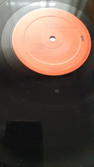Vinilo LP Fishbone Reality of My Surroundings