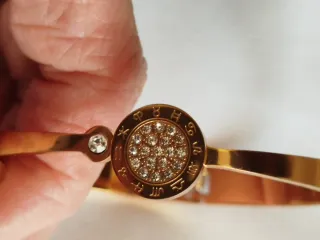 Bracciale rigido zodiaco acciaio dorato