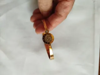 Bracciale rigido zodiaco acciaio dorato