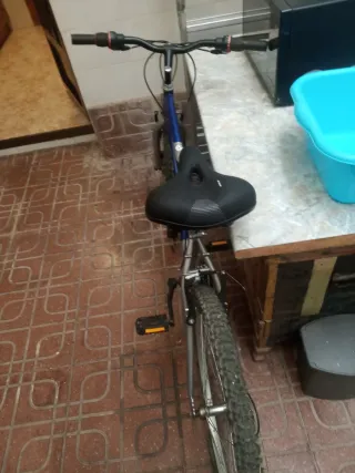 Bicicleta Speedy Azul y Plata Adulto