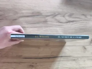 El secret de la mare