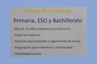 Clases Particulares y soporte escolar