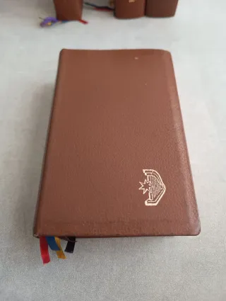 LITURGIA DE LAS HORAS SEGÚN EL RITO ROMANO