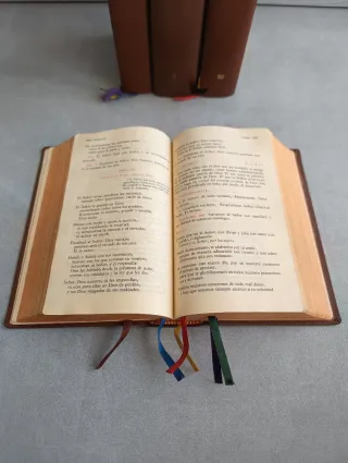 LITURGIA DE LAS HORAS SEGÚN EL RITO ROMANO