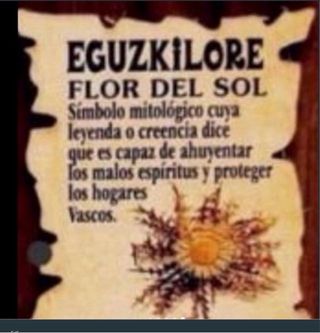 Pendientes Plata Eguzkilore Flor del Sol