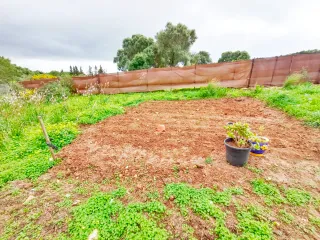 Se vende bonito terreno con casita de campo vejer