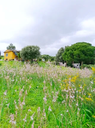 Se vende bonito terreno con casita de campo vejer