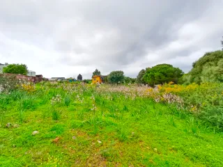 Se vende bonito terreno con casita de campo vejer