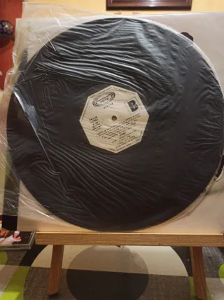 Vinilo Charol