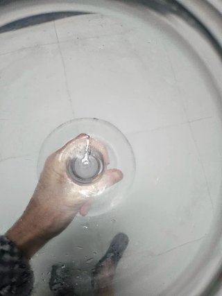 Jarrón de cristal transparente