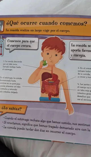 ¿Cómo es mi cuerpo? Libro infantil