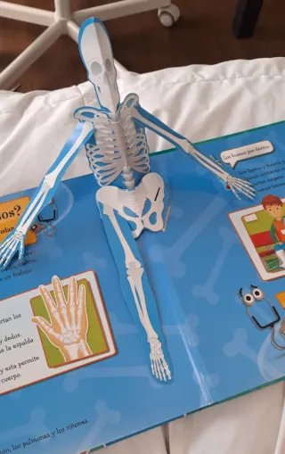 ¿Cómo es mi cuerpo? Libro infantil