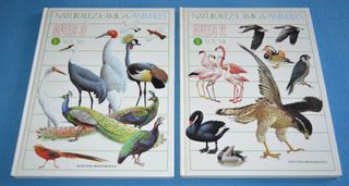 Libros Naturaleza amiga. Montena - Mondiberica