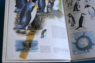 Libros Naturaleza amiga. Montena - Mondiberica
