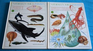 Libros Naturaleza amiga. Montena - Mondiberica