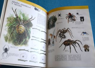 Libros Naturaleza amiga. Montena - Mondiberica