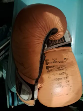 Guantoni Leone Pugilato Muay Thai